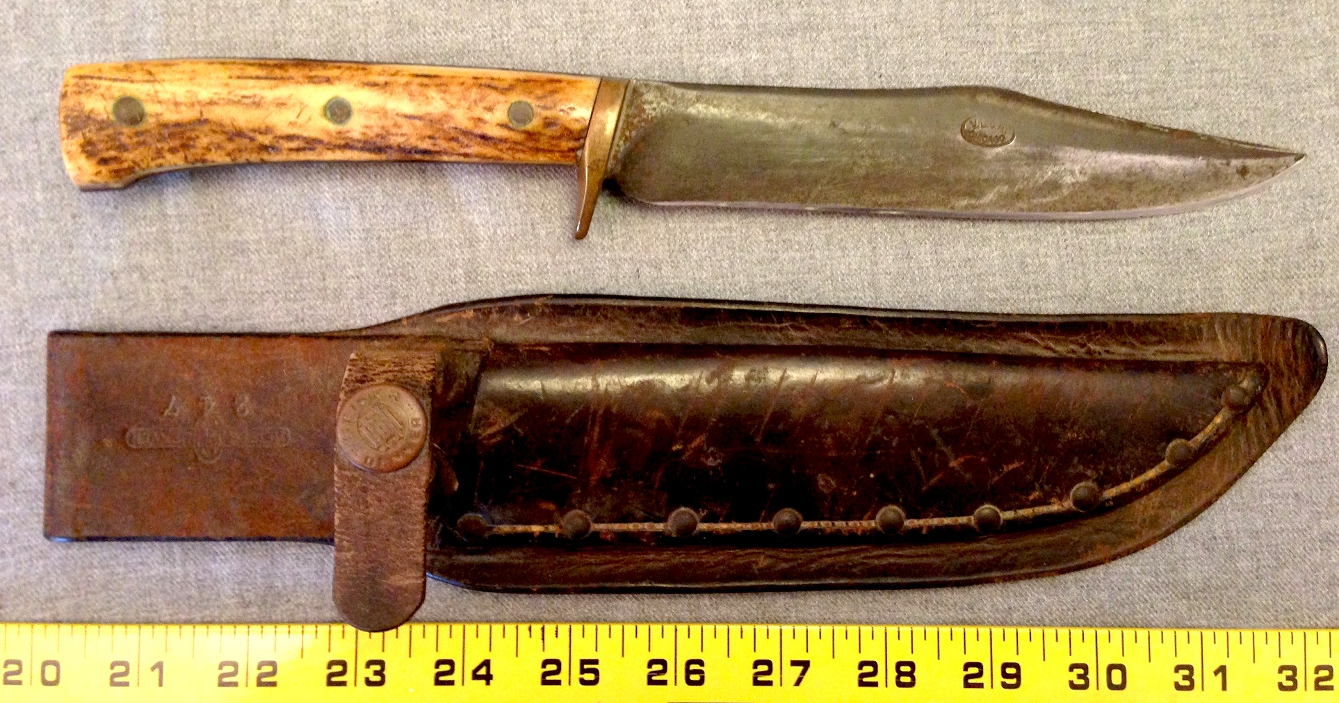 scagel-stag02 (3).jpg scagel-stag02 (3).jpg